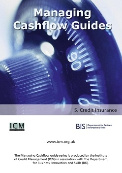 Credit Insurance - ICM & BIS Managing Cashflow Series Part Five